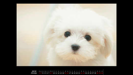 1425150 (a): :1920x1080